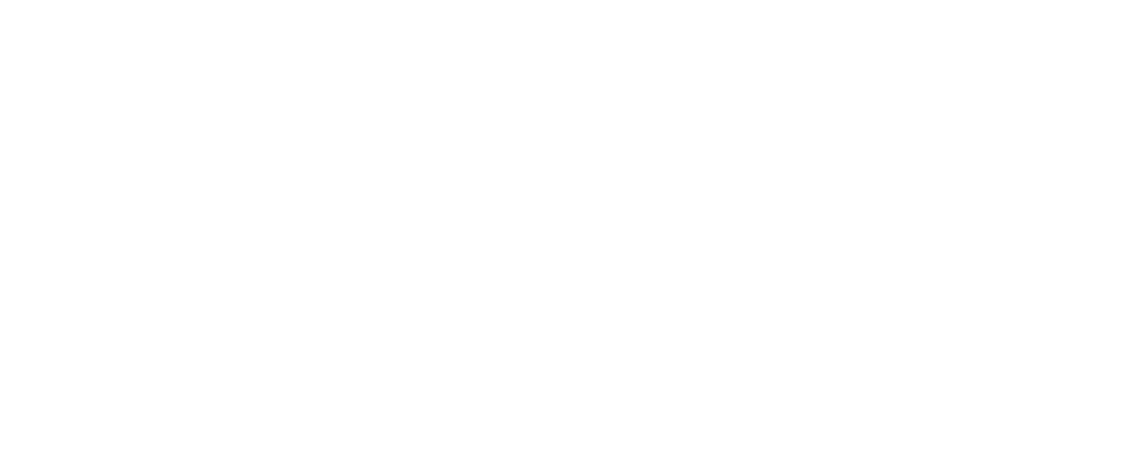 xtreme bling bowtique white horizonal logo